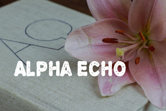 Alpha Echo: A Bold Display Font for Business Branding