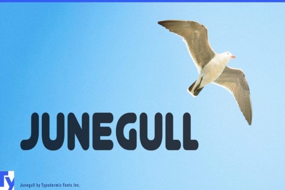 Junegull: A Smart, Rounded Sans for Branding Projects That Need a Hug