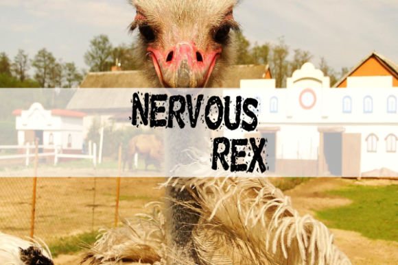 Make Your Brand Stand Out with the Nervous Rex Font